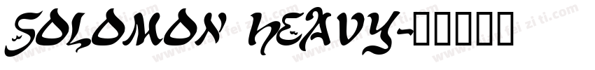 SOLOMON HEAVY字体转换